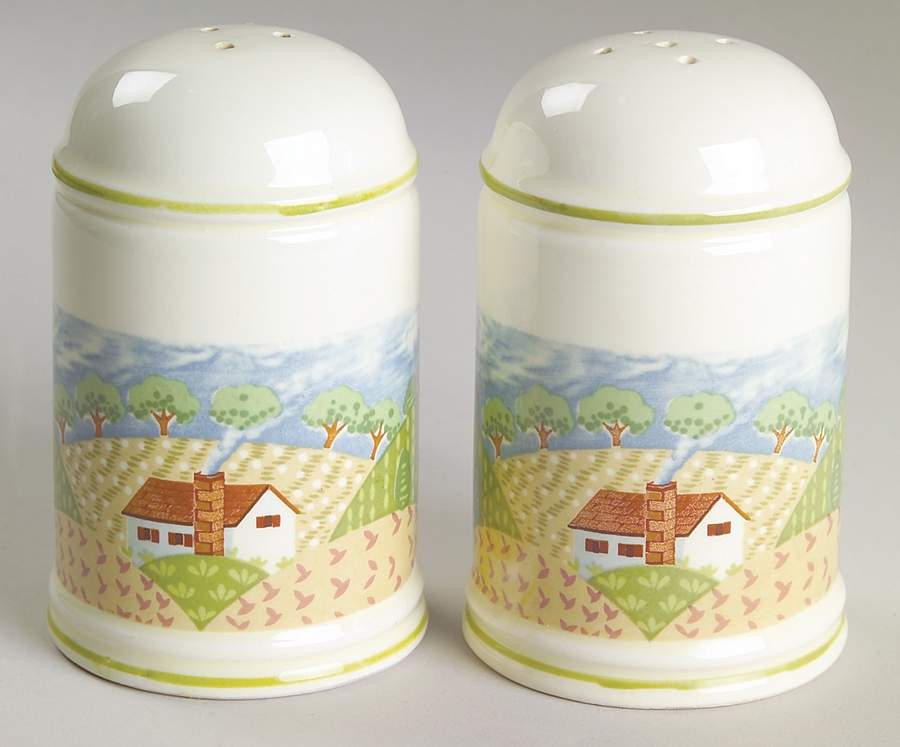 Country Cottage Salt & Pepper Set by Sango-1