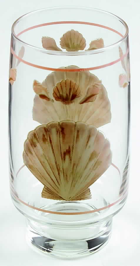 Coquille (Korea, Taiwan) 14 Oz Glassware Tumbler by Sango-1