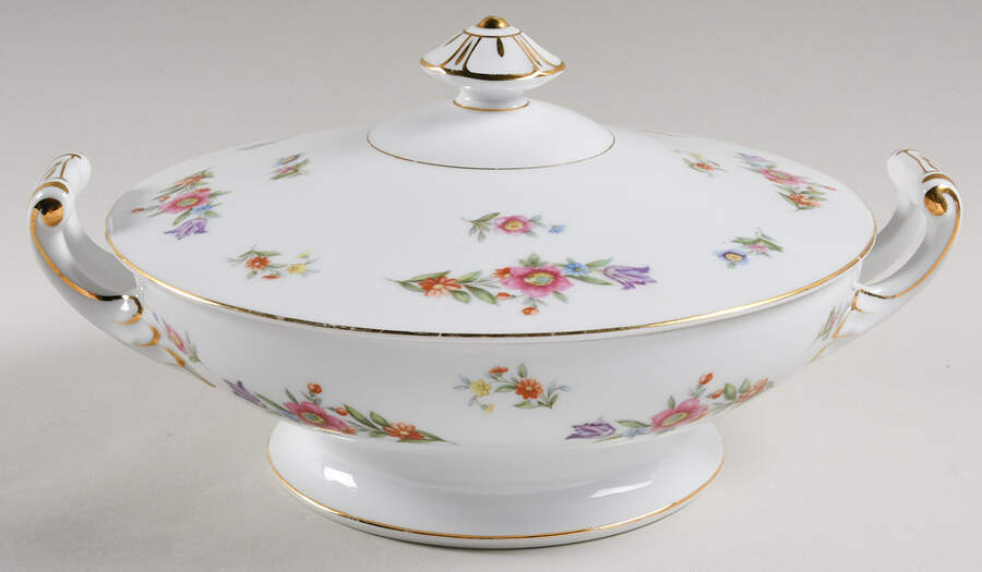Dresdenia(Japan) Round Covered Vegetable by Sango-1