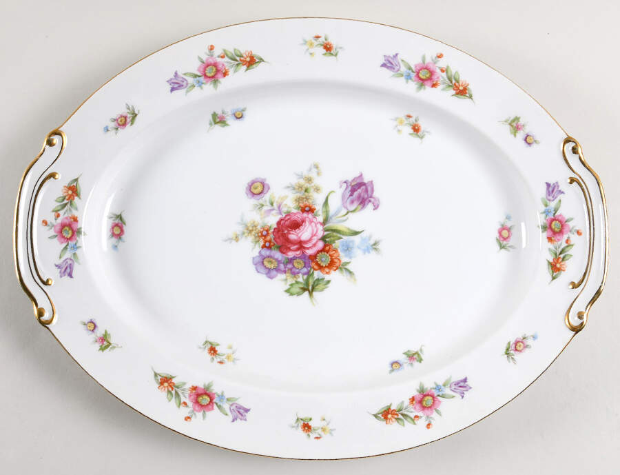 Dresdenia(Japan) 16" Oval Serving Platter by Sango-1