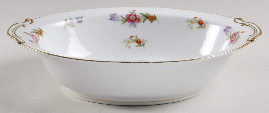 Dresdenia(Japan) 10" Oval Vegetable Bowl by Sango-1