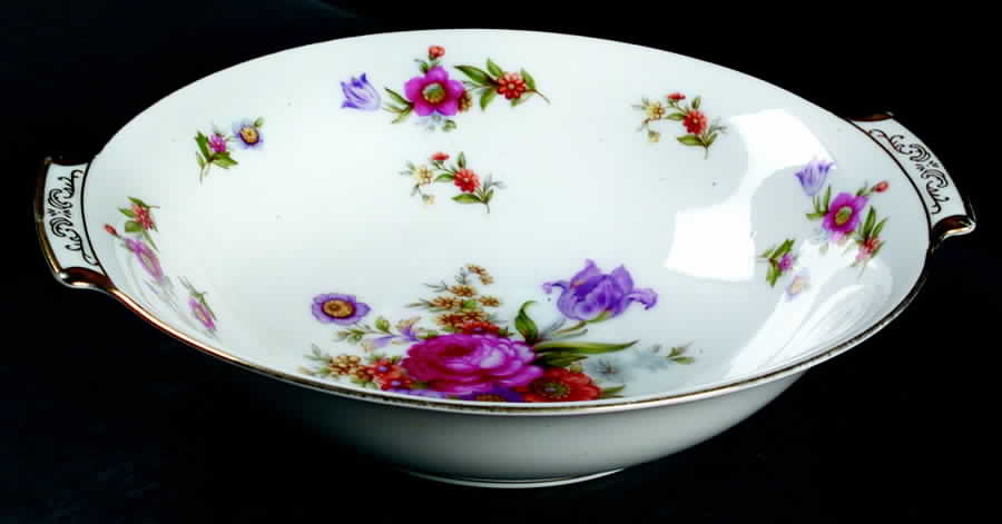 Dresdenia(Japan) 9" Round Vegetable Bowl by Sango-1