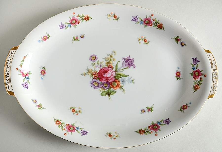 Dresdenia(Japan) 15" Oval Serving Platter by Sango-1