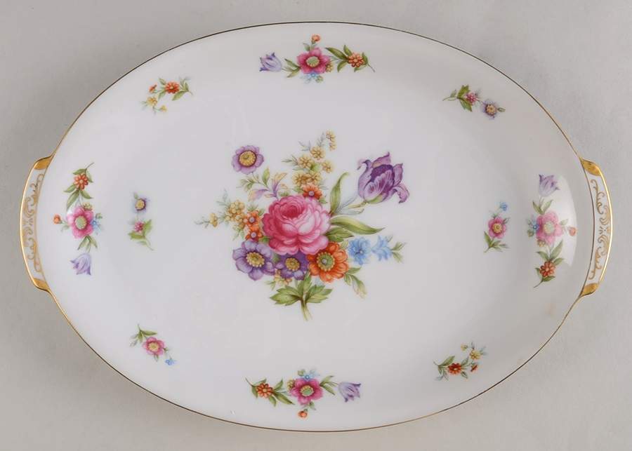 Dresdenia(Japan) 12" Oval Serving Platter by Sango-1