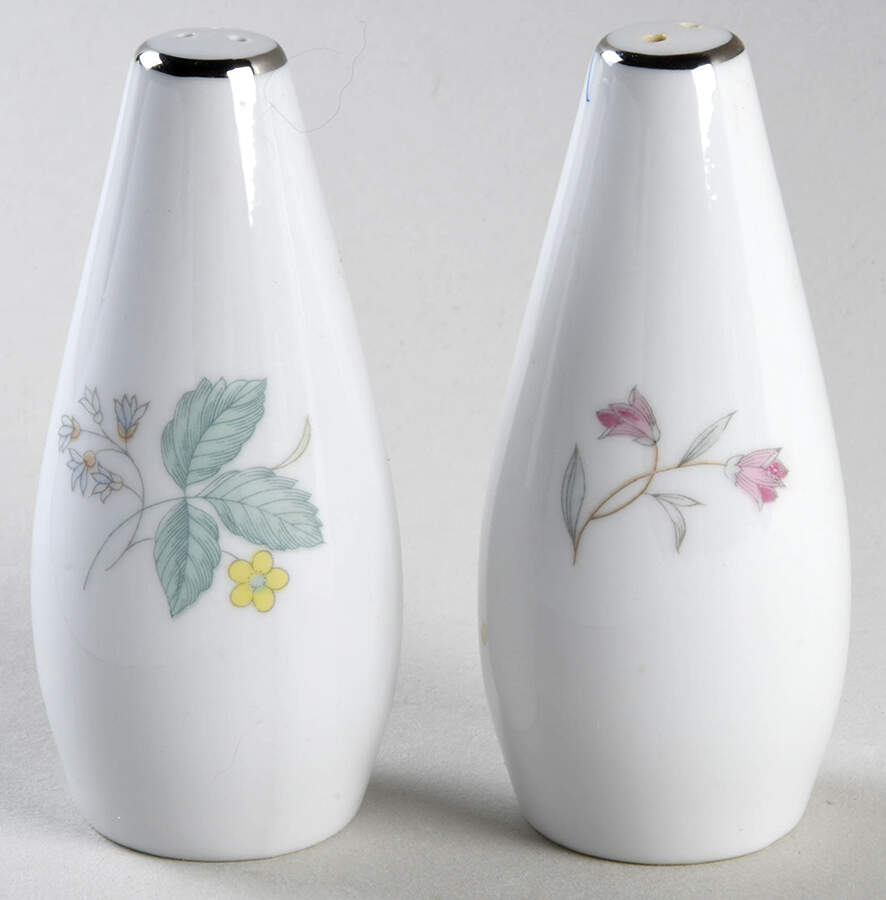 Fantasia (Platinum Trim) Salt & Pepper Set by Sango-1