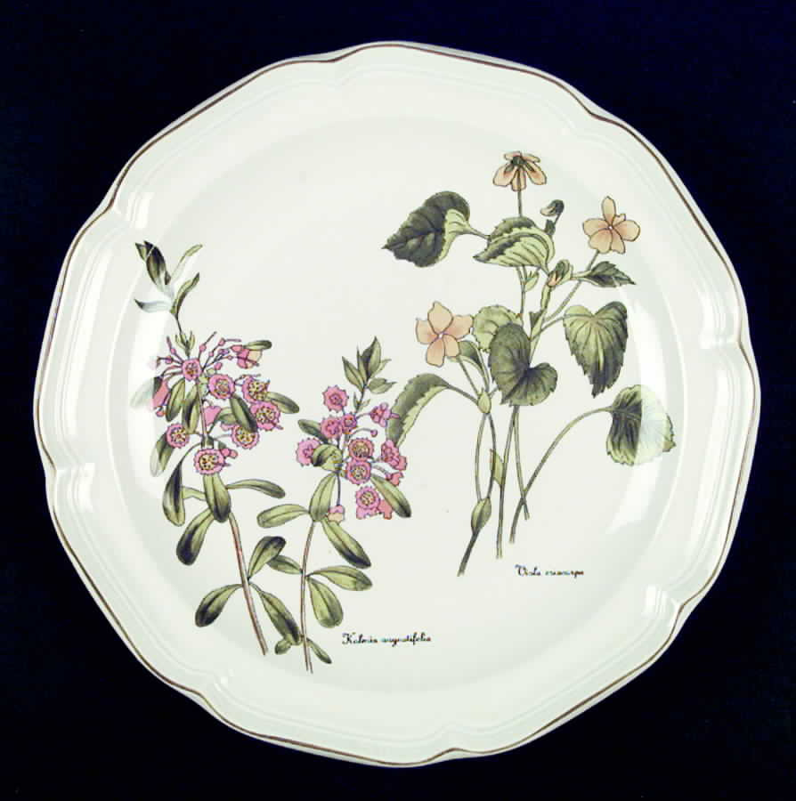 Gardener's Choice Dinner Plate by Sango-1