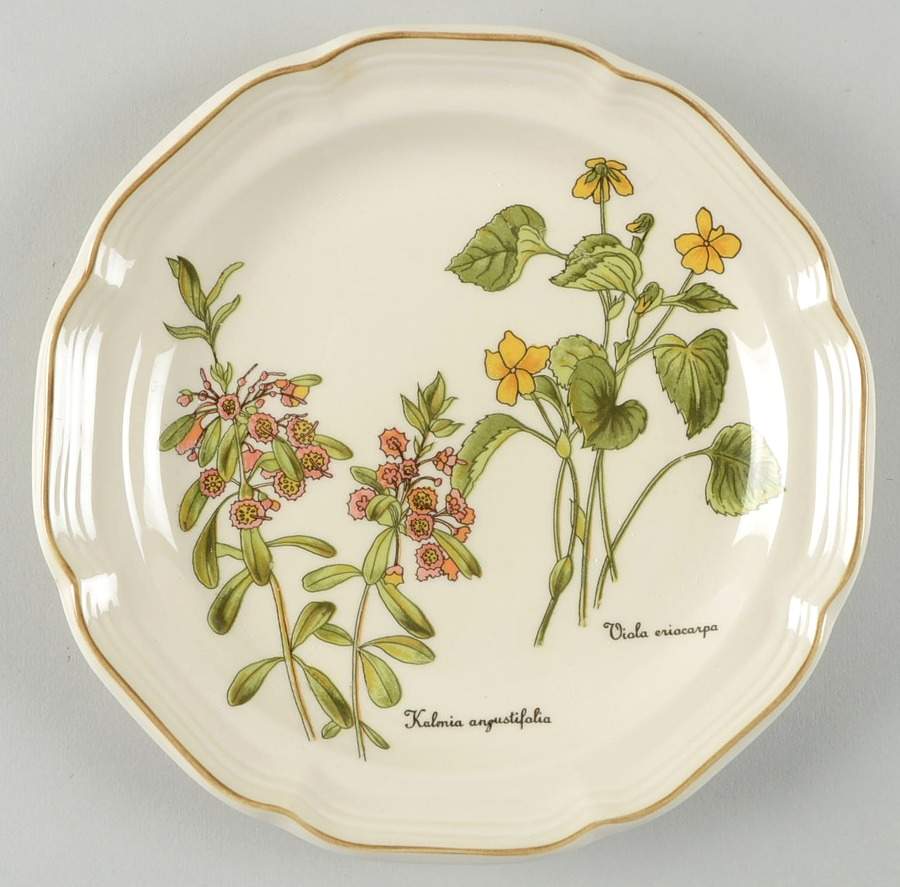 Gardener's Choice Salad Plate by Sango-1