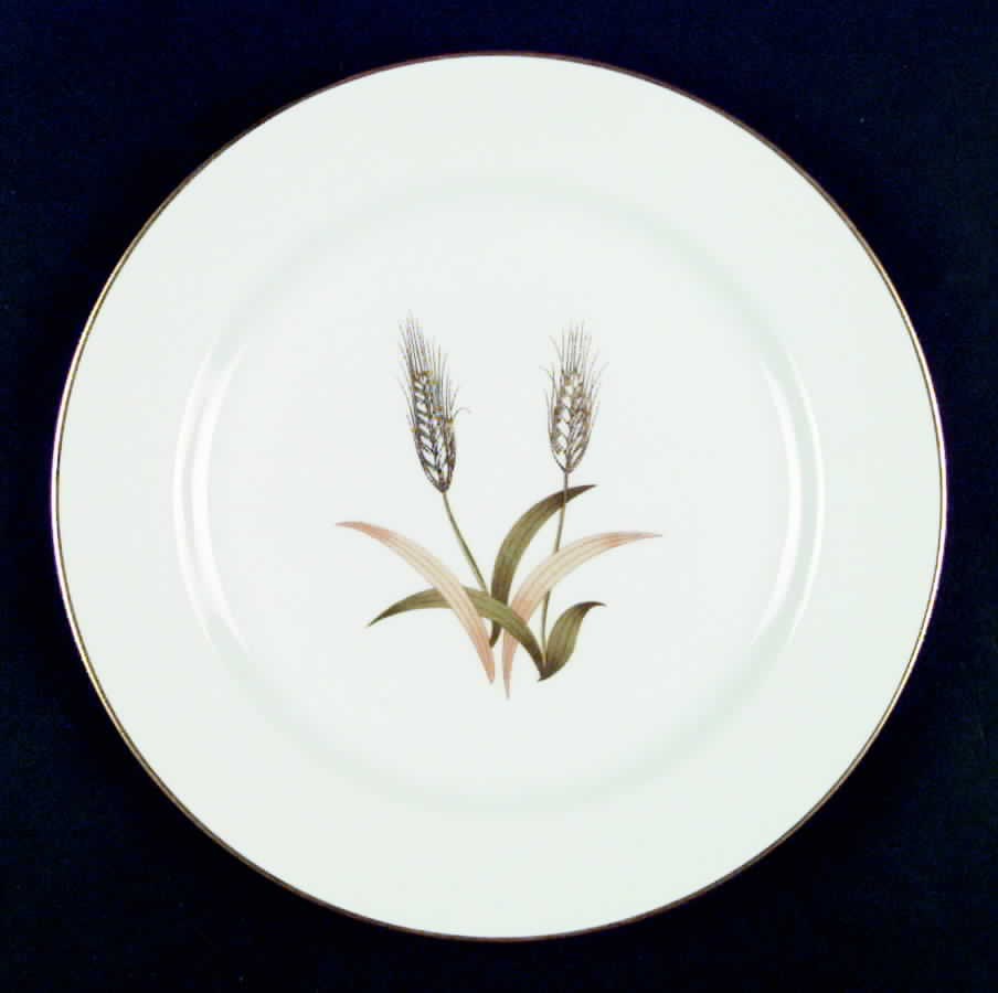 Harvest Dinner Plate by Sango-1
