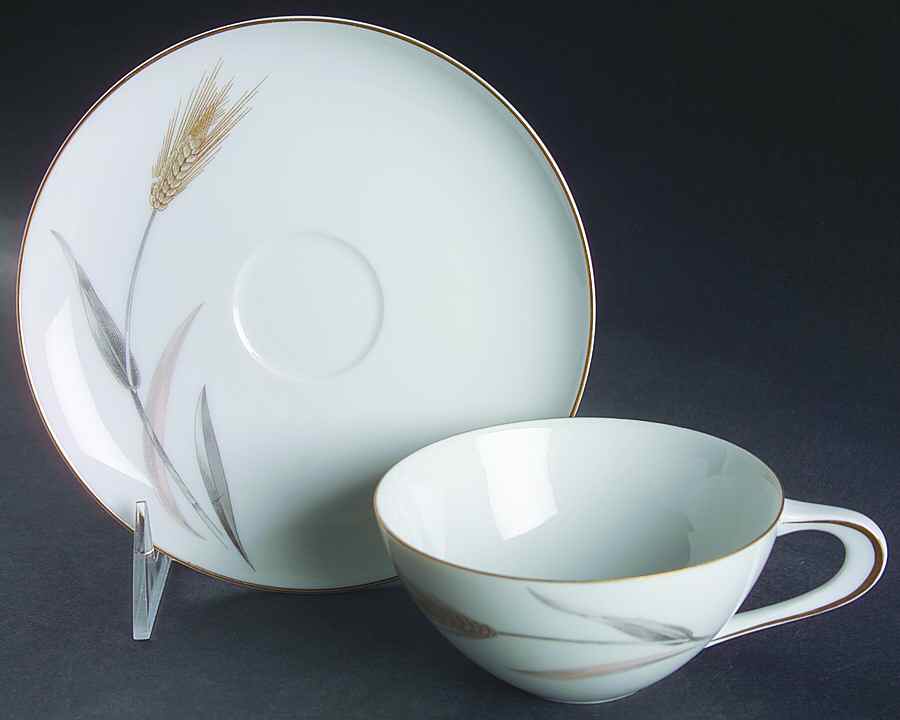 Harvest Flat Cup & Saucer Set by Sango-1