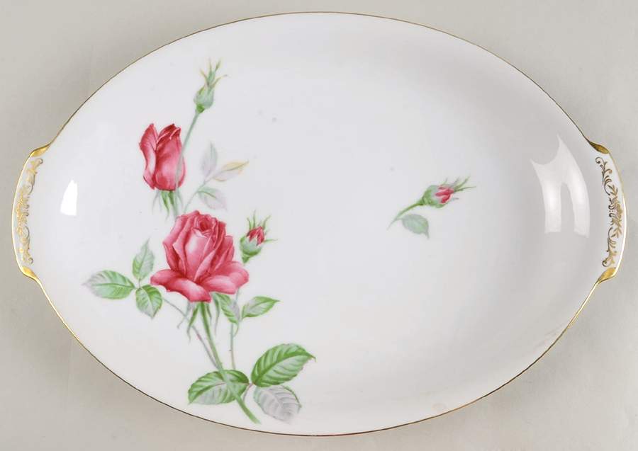 Monterey 14" Oval Serving Platter by Sango-1