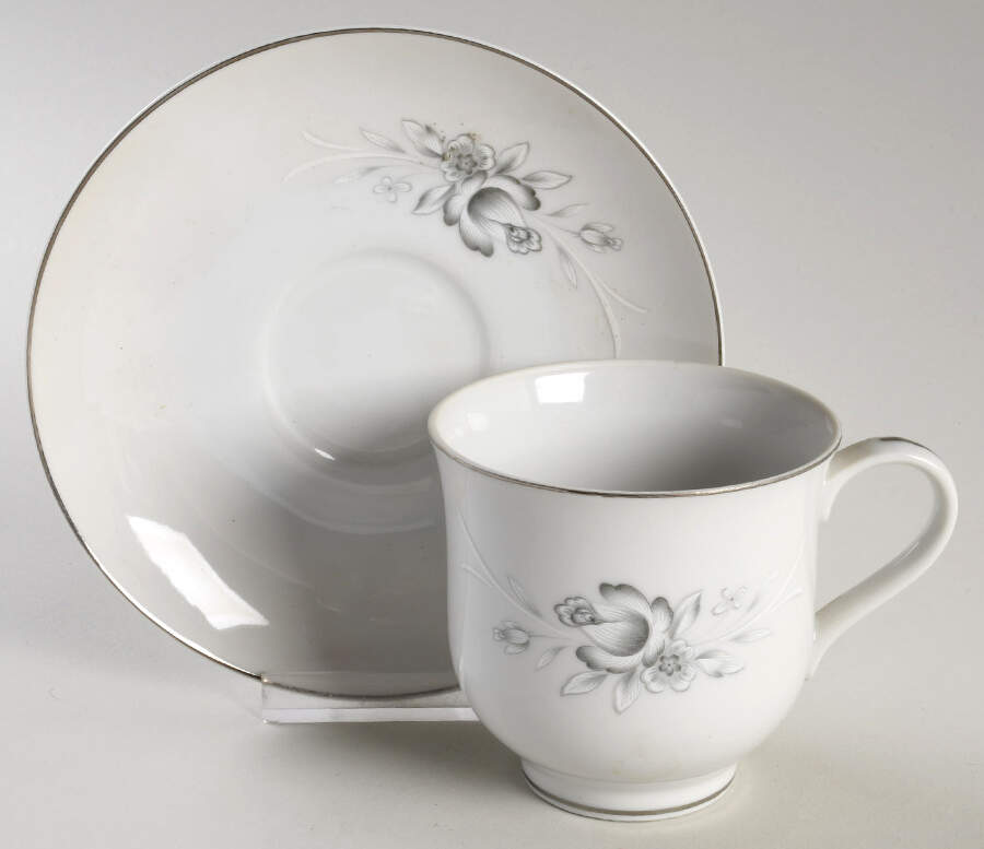 Morena Flat Cup & Saucer Set by Sango-1