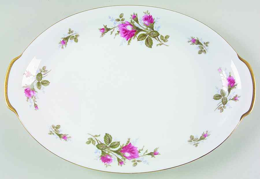 Moss Rose (Coupe Shape) 14" Oval Serving Platter by Sango-1