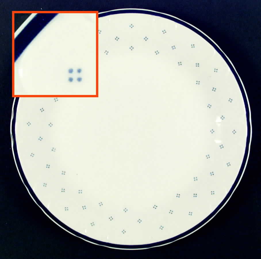Normandy Dinner Plate by Sango-1