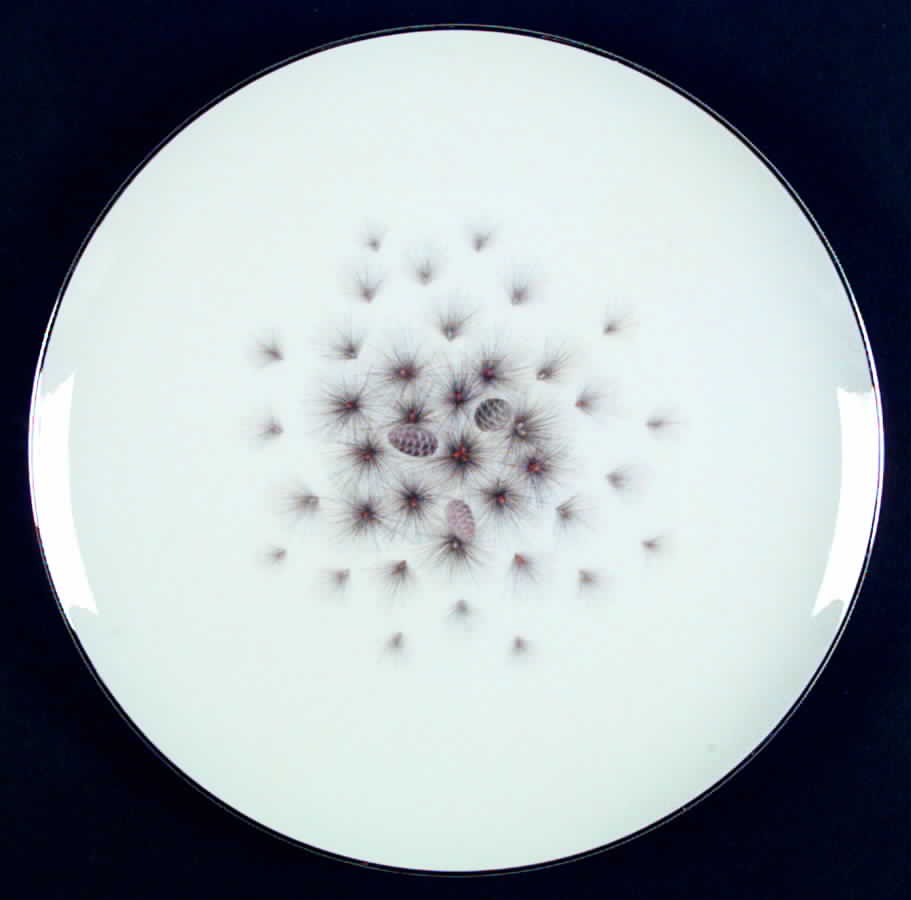 Ponderosa Dinner Plate by Sango-1