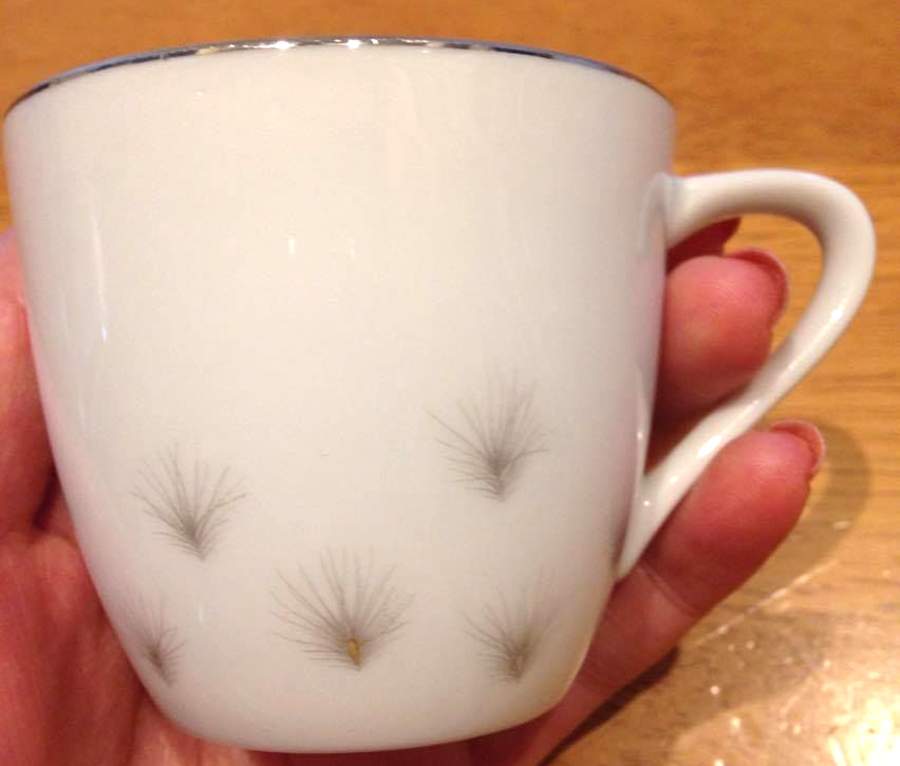 Ponderosa Flat Cup by Sango-1