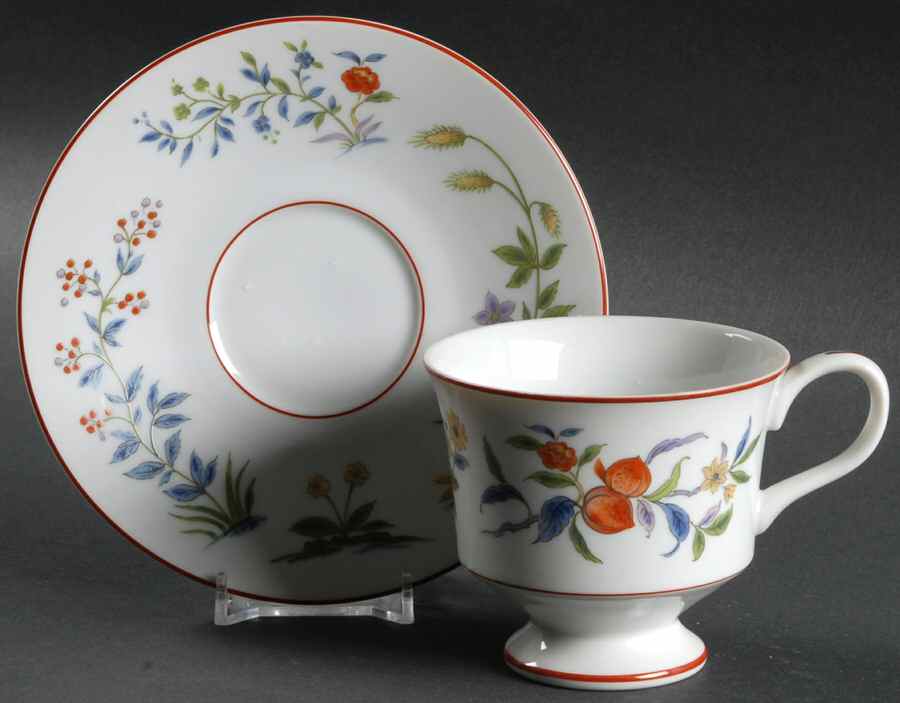Queen's Garden Footed Cup & Saucer Set by Sango-1