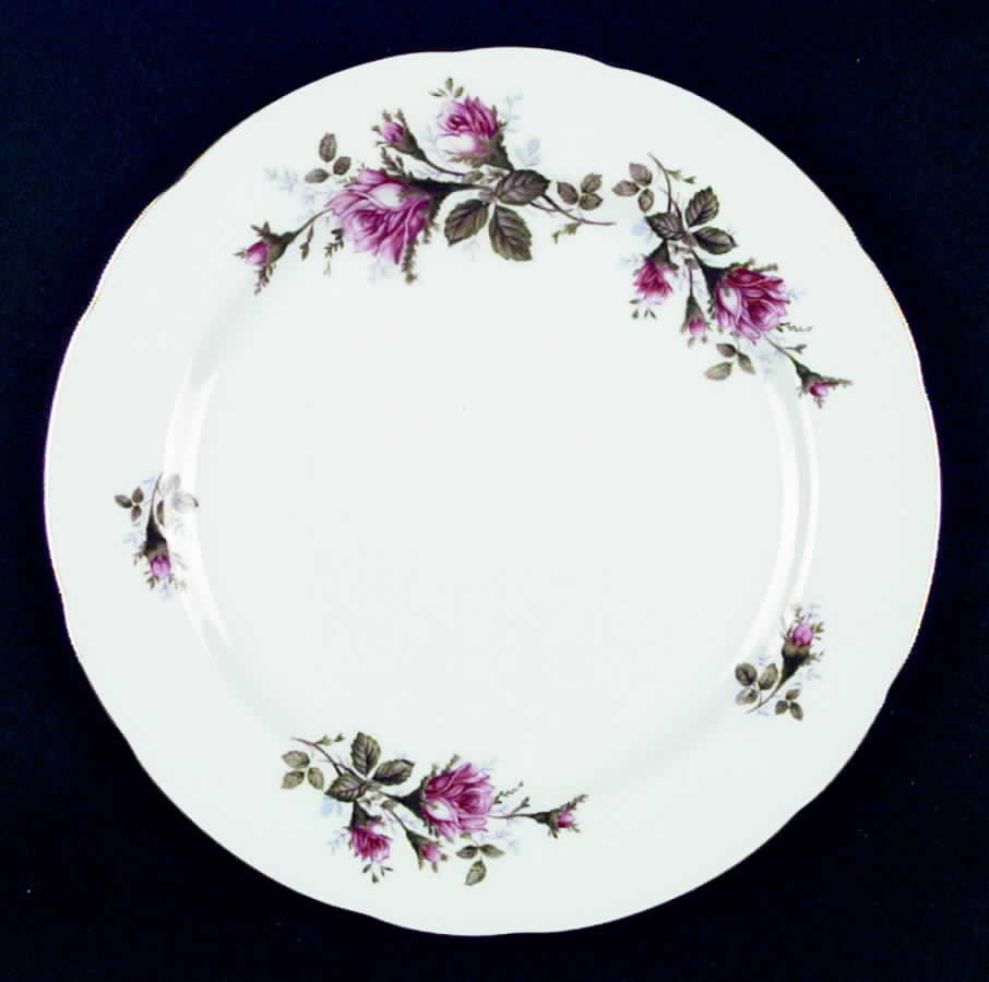 SAN10 Dinner Plate by Sango-1