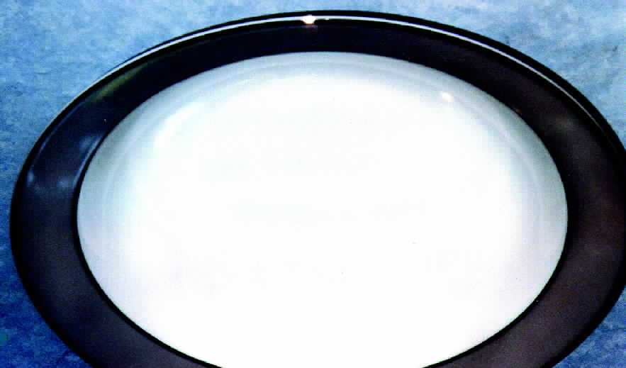 SAN15 Dinner Plate by Sango-1