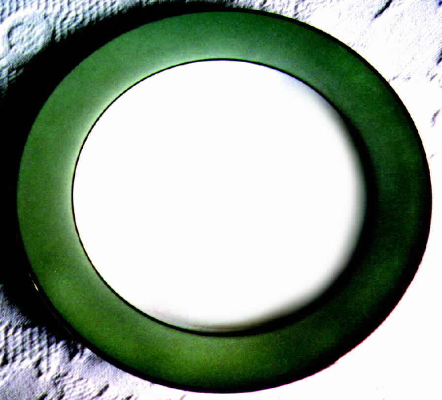 SAN16 Dinner Plate by Sango-1