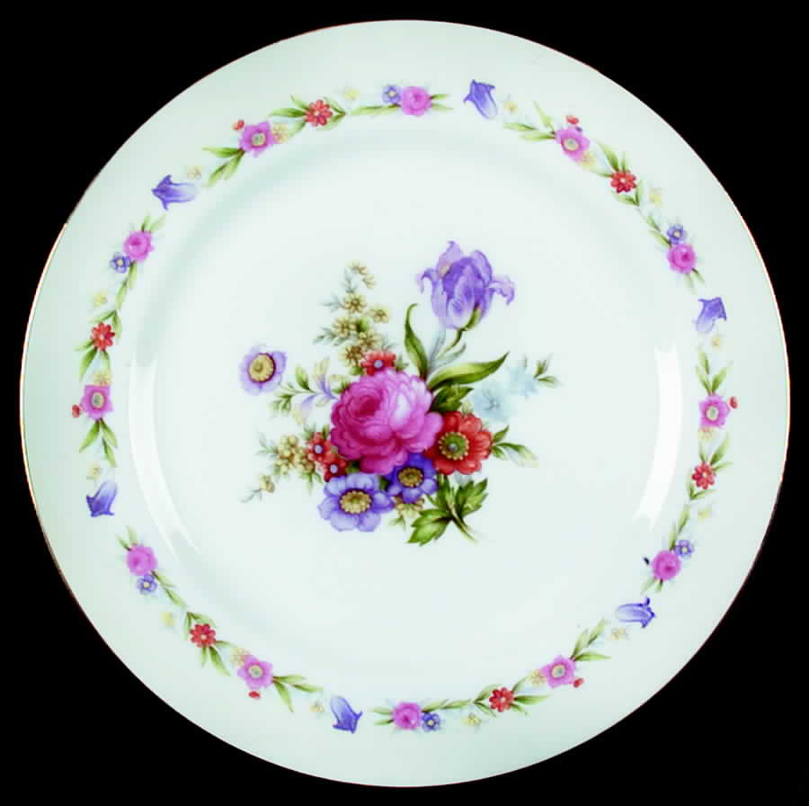 SAN9 Dinner Plate by Sango-1