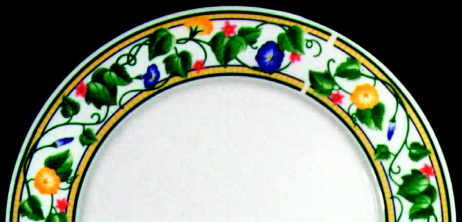 Spring Melody Dinner Plate by Sango-1