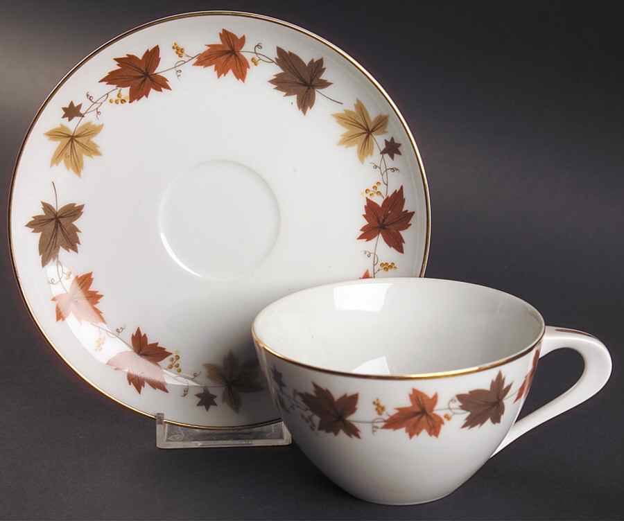 Windsor Flat Cup & Saucer Set by Sango-1