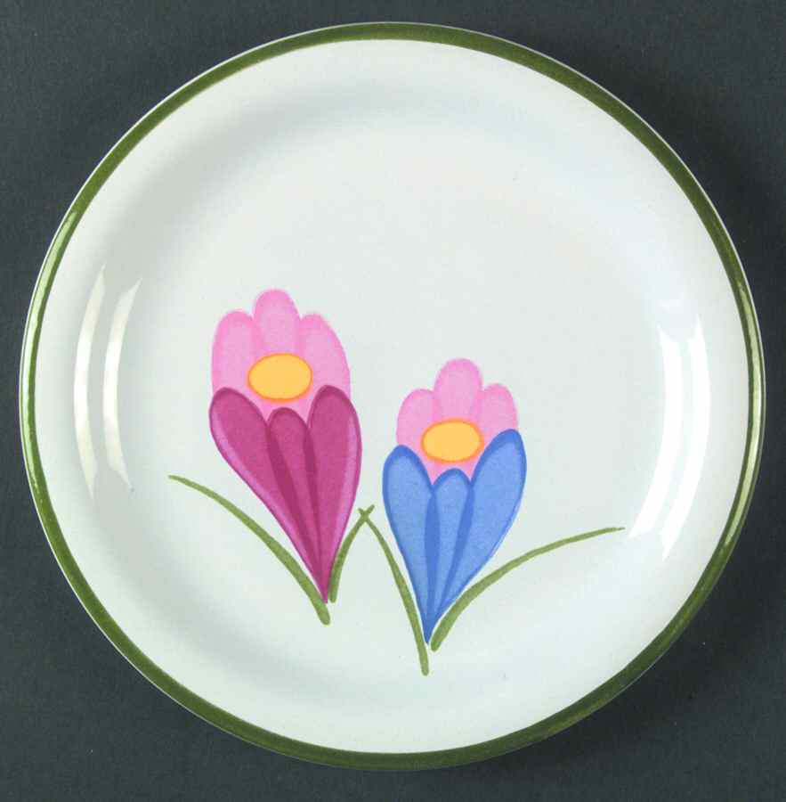 Crocus Green Border Salad Plate by Savoir Vivre-1