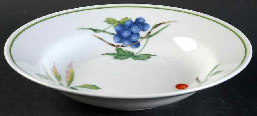 Harvest Delight Rim Soup Bowl by Savoir Vivre-1
