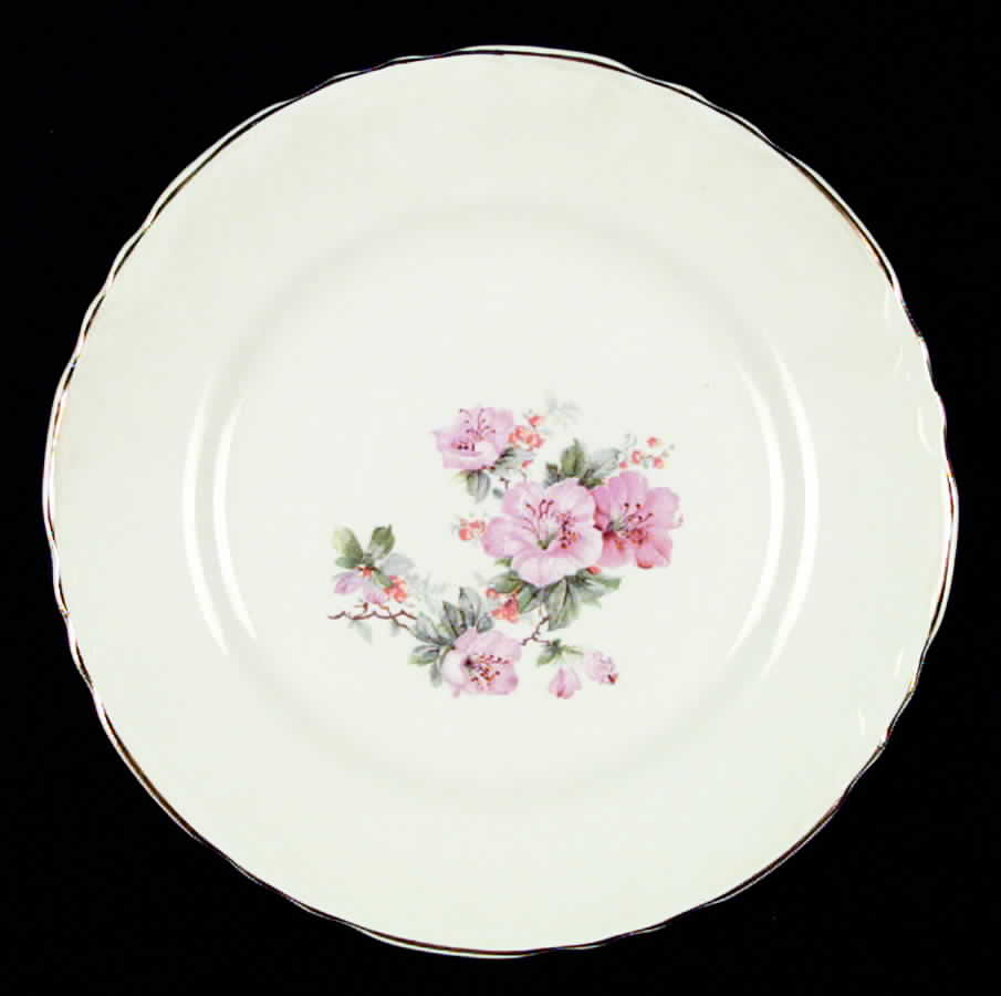SC3 Dinner Plate by SCIO-1