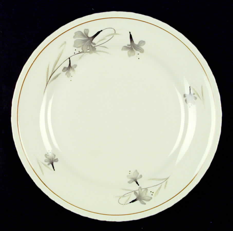 SCD1 Dinner Plate by Schonwald-1