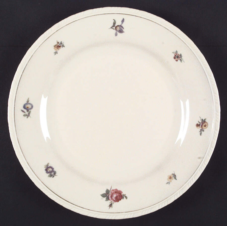 SCD5 Dinner Plate by Schonwald-1