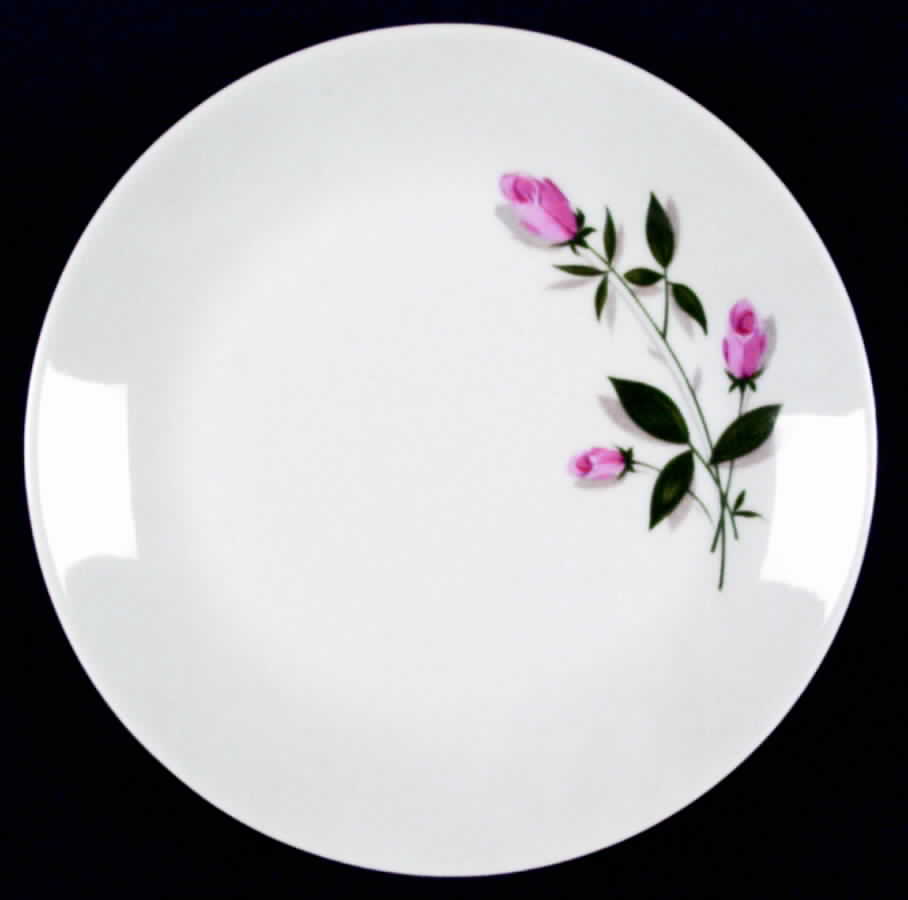 SCG3 Salad Plate by Schirnding-1