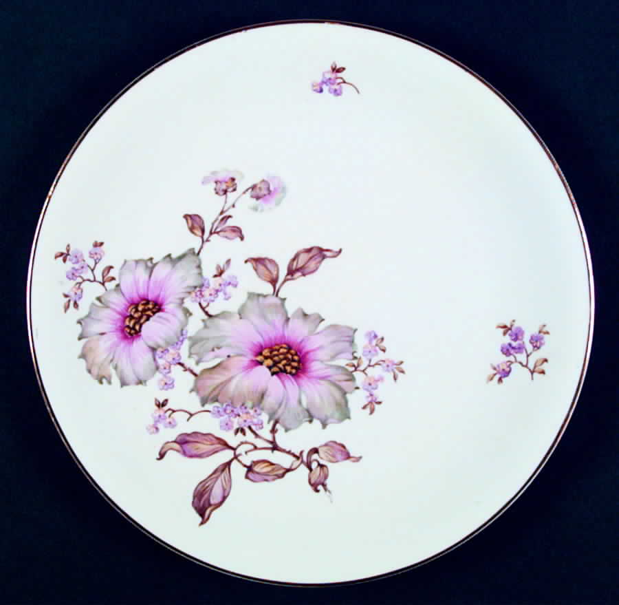 Somerset Dinner Plate by Schirnding-1
