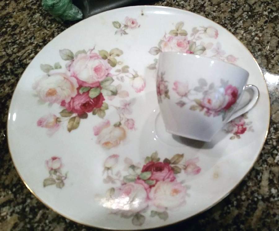 Antique Rose Snack Plate & Cup Set by Schumann - Bavaria-1
