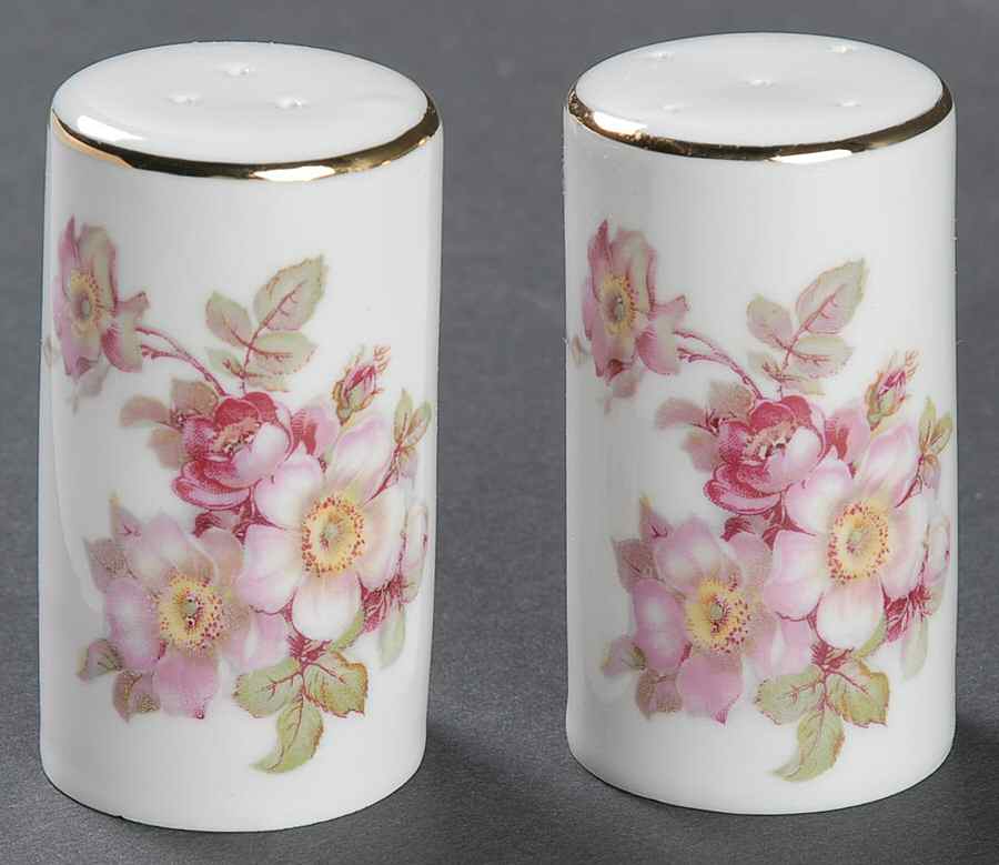 Briar Rose (Gold Trim) Salt & Pepper Set by Schumann - Bavaria-1