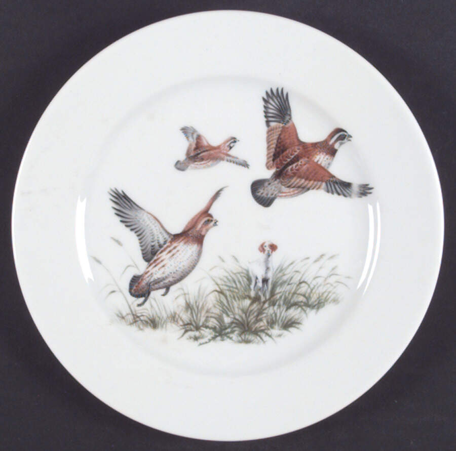 Game Birds Salad Plate by Schumann - Bavaria-1