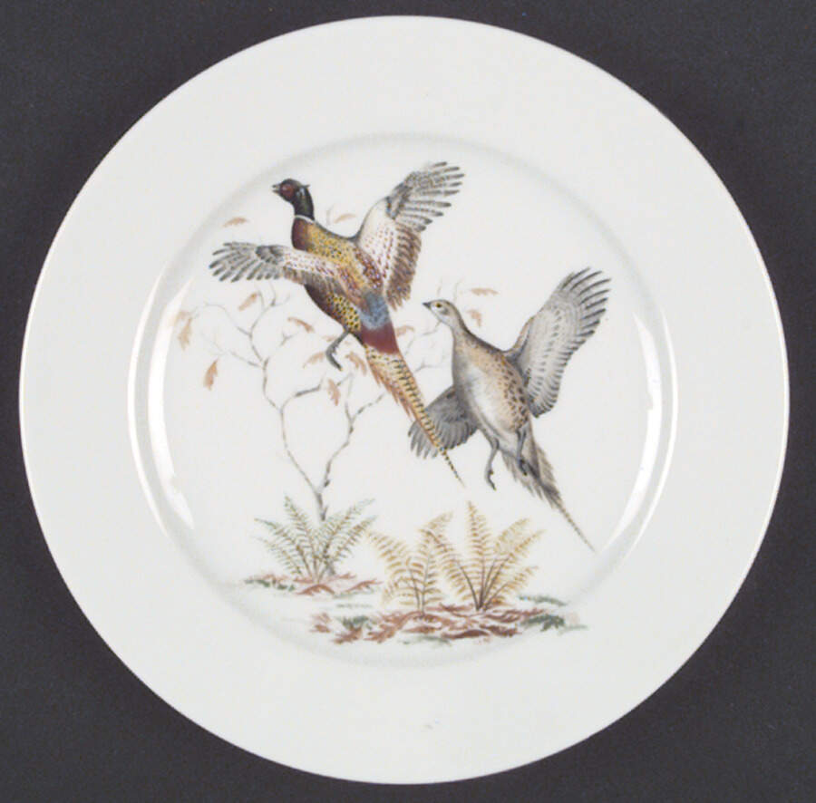 Game Birds Salad Plate by Schumann - Bavaria-1