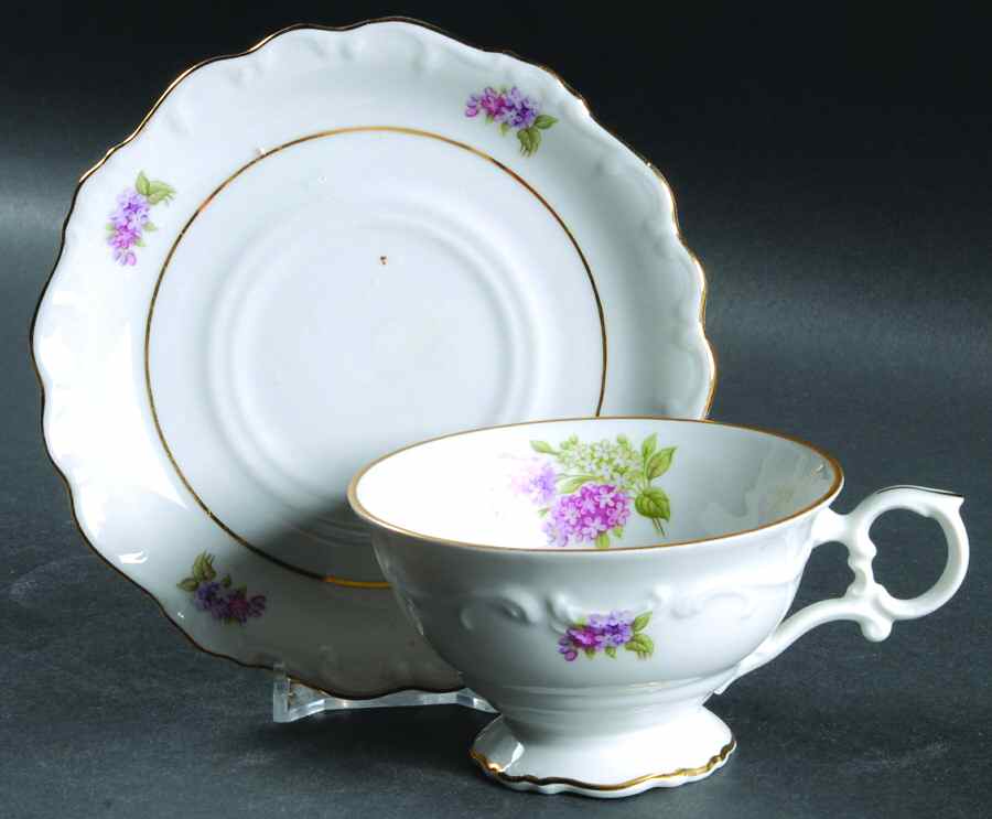 Lilac Footed Cup & Saucer Set by Schumann - Bavaria-1