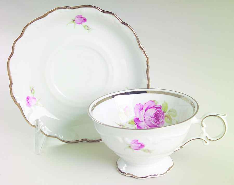 Platinum Radiance Footed Cup & Saucer Set by Schumann - Bavaria-1