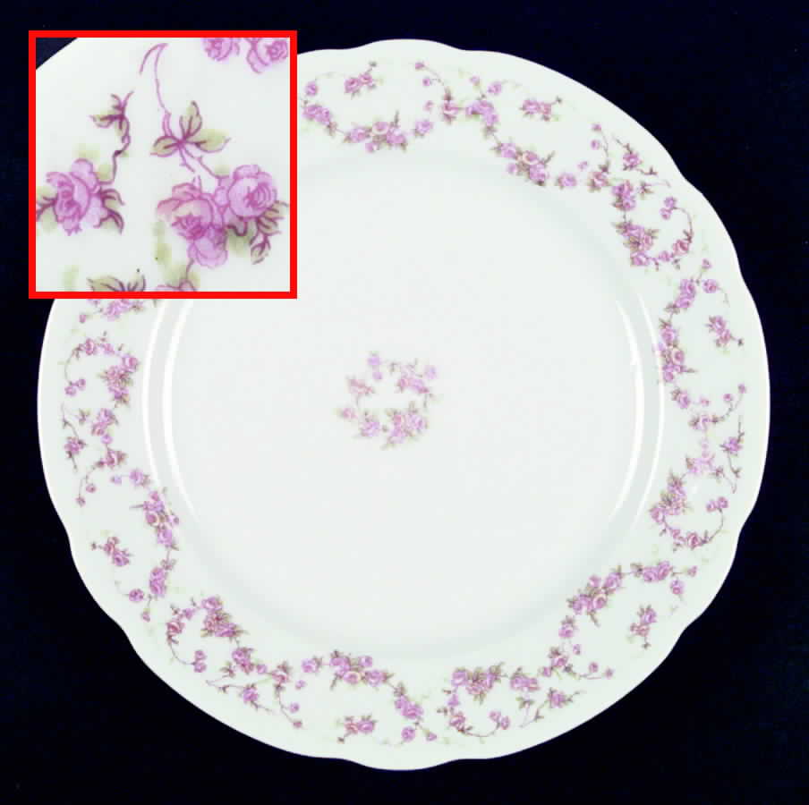 Rose Arbor Dinner Plate by Schumann - Bavaria-1