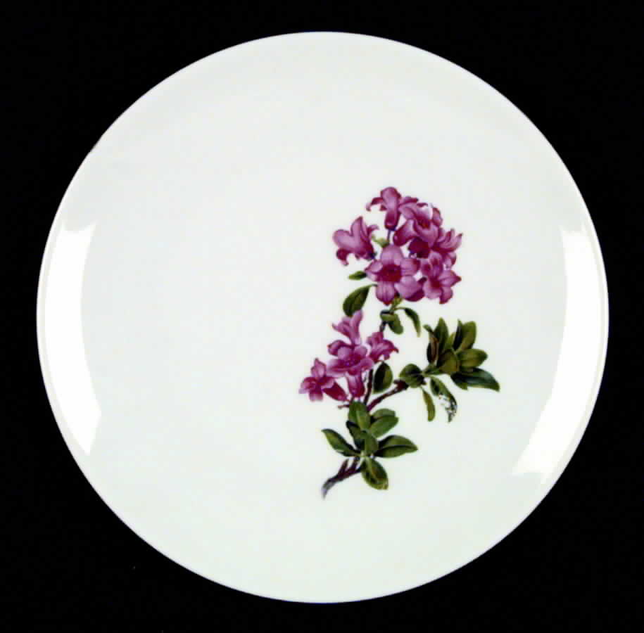 SCH11 Salad Plate by Schumann - Bavaria-1