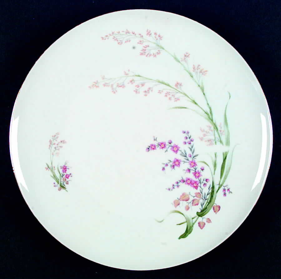 SCH36 Dinner Plate by Schumann - Bavaria-1