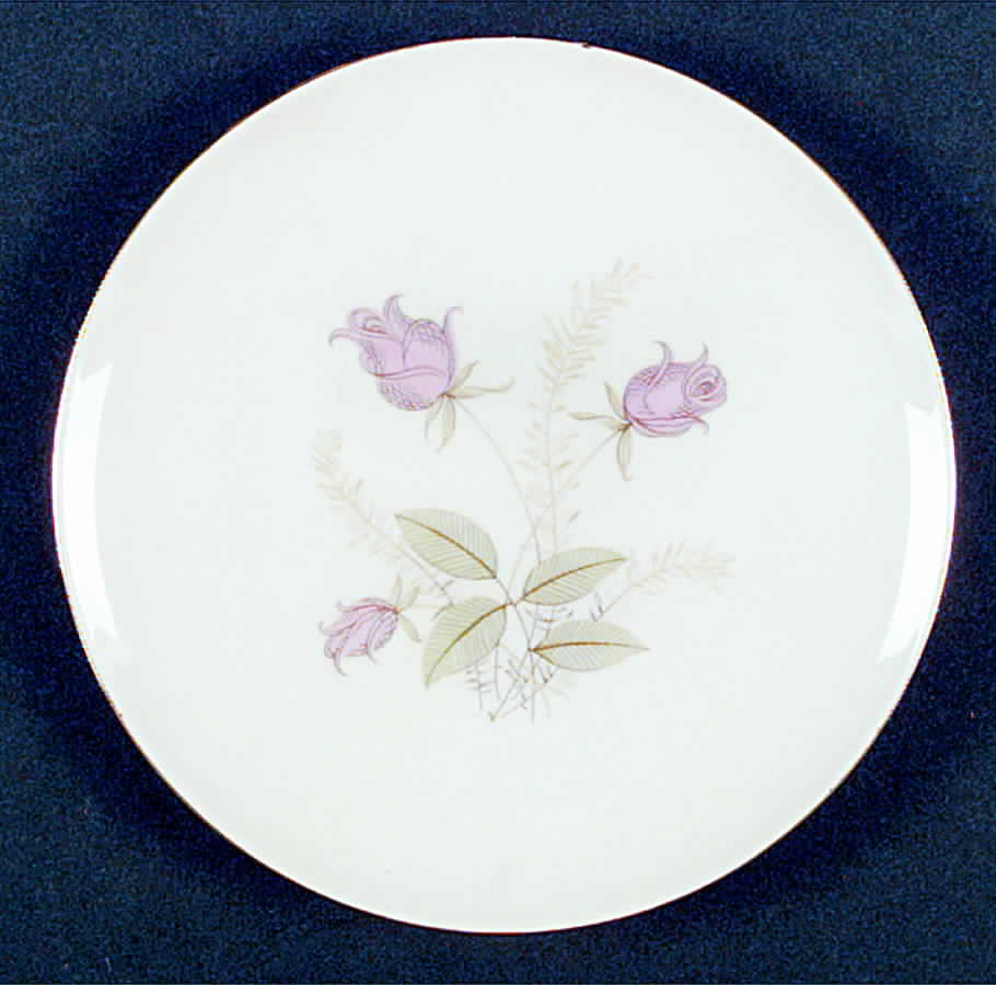 SCH85 Salad Plate by Schumann - Bavaria-1