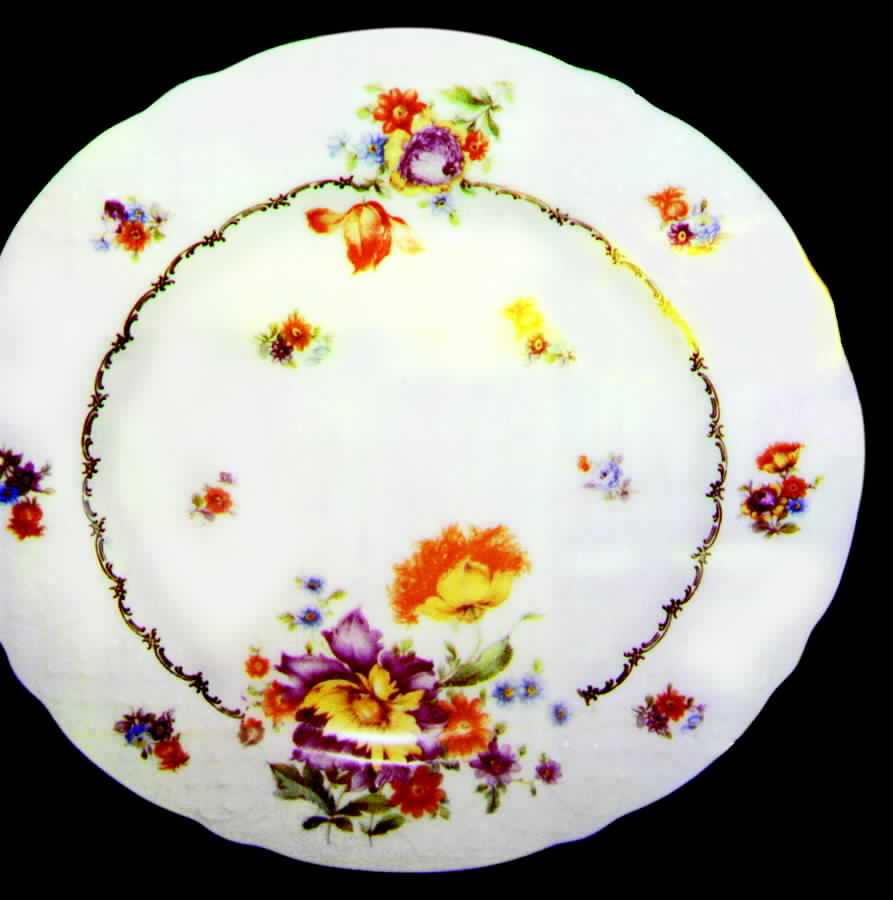 SCH93 Dinner Plate by Schumann - Bavaria-1