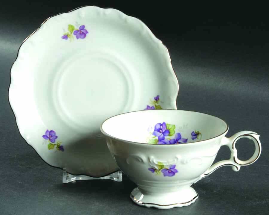 Violette (Platinum Trim) Footed Cup & Saucer Set by Schumann - Bavaria-1