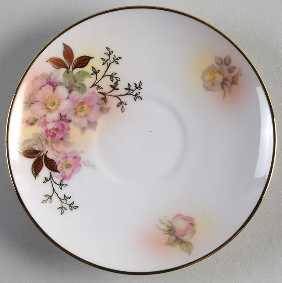 Wild Rose Blush Saucer by Schumann - Bavaria-1