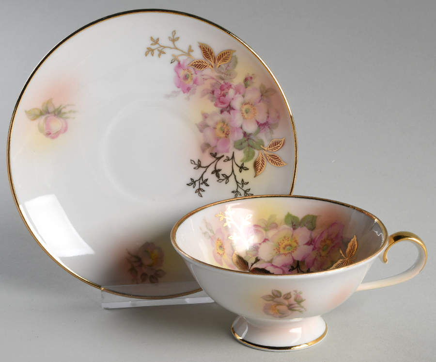 Wild Rose Blush Footed Cup & Saucer Set by Schumann - Bavaria-1