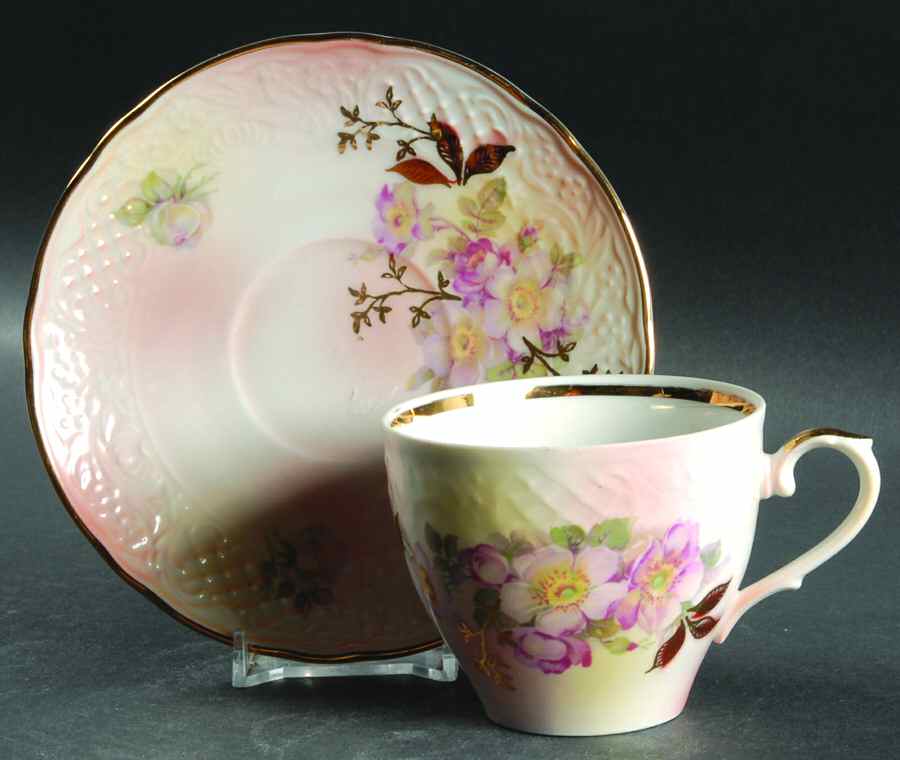 Wild Rose Blush Flat Cup & Saucer Set by Schumann - Bavaria-1