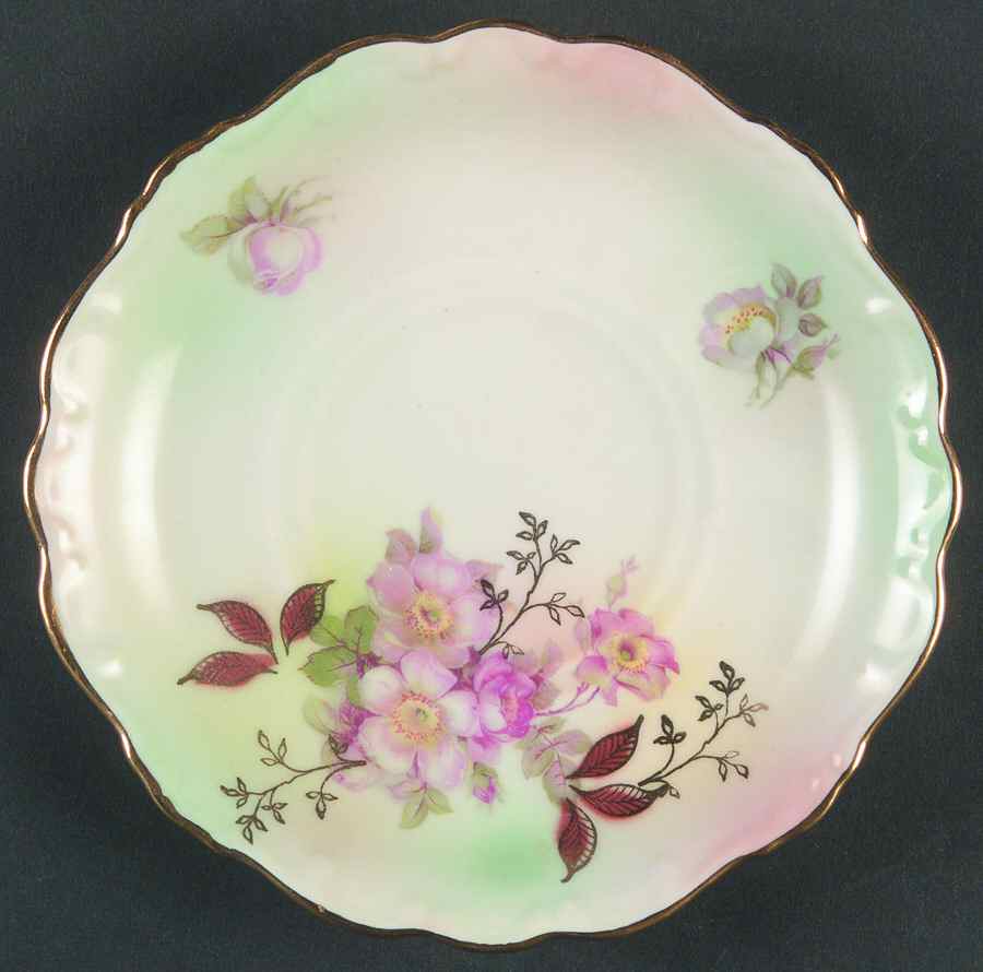 Wild Rose (Scallop, Rim, Embossed) Saucer by Schumann - Bavaria-1
