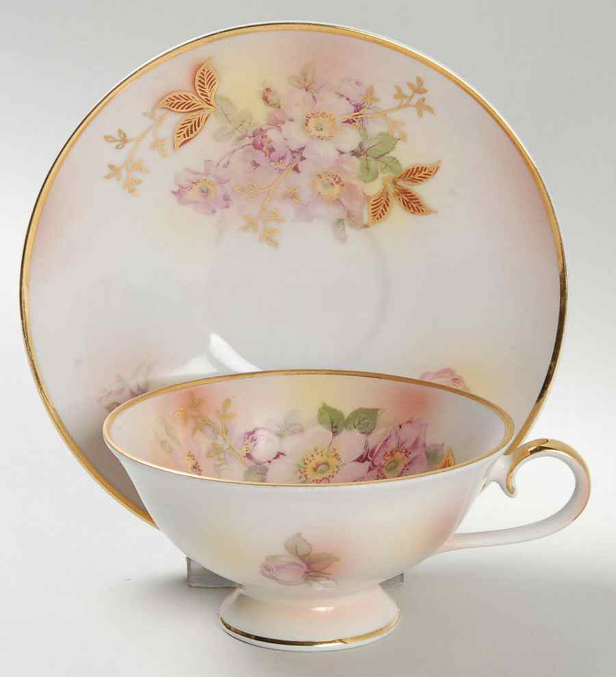 Wild Rose (Smooth) Footed Cup & Saucer Set by Schumann - Bavaria-1